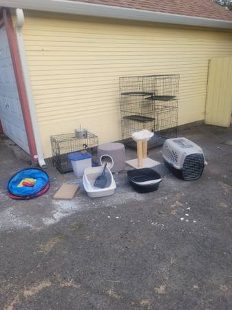 Pet supplies 1