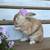 Rabbits 8 thumbnail