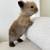 Bunny 2 thumbnail