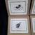Four Framed Bird Prints by Lizar 2 thumbnail