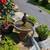 Garden fountain 4 thumbnail