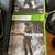 Microsoft Xbox 360 E 250GB (Renewed-no box) 3 thumbnail