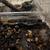 Blue spotted salamander with cage 2 thumbnail