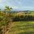 Costa Rica-OCEAN, MOUNTAINS, JUNGLE - TOP OF THE WORLD 6 thumbnail