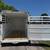 2026 DELCO 6′ X 14′ BUMPER PULL STOCK TRAILER W/ SPARE WHITE 12K# GVWR 7 thumbnail