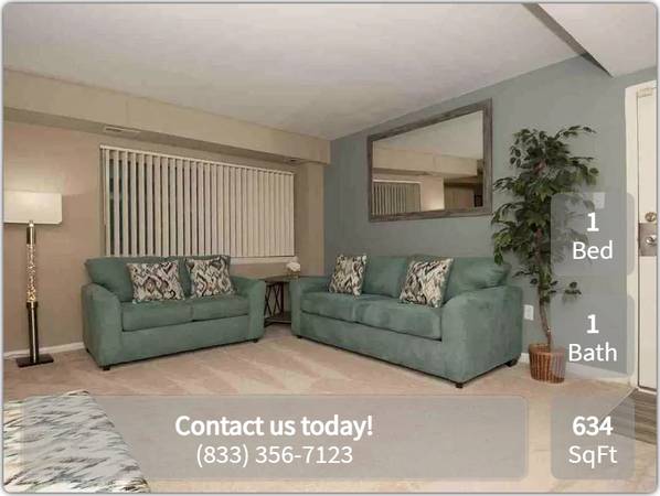 $1,410 / 1br - 634ft2 - A Silver Spring gem! 1 bed, 1 bath in the city's best spot. (Silver Spring)64040026557059121
