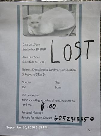Gato desaparecido (Sioux Falls)