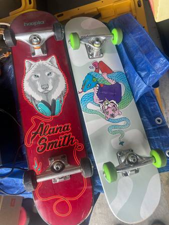 2 Hoopla Skateboards 1