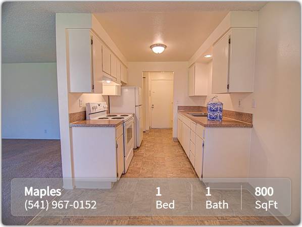 $1,375 / 1br - 800ft2 - Cook up a great meal! This apartment includes a full kitchen (Albany)63945100703747122