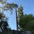 Landscaping & Gardening Services Luis 14 thumbnail