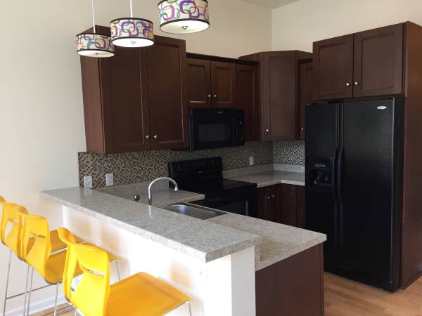 $2,100 / 3br - 1100ft2 - 3BR FURNISHED  $2,100/month (Downtown)64013369466242122
