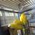 Quaker parrots 2 thumbnail