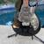 Taylor SB1-X Solid body Classic with Top-Load Bridge 2007 - 2014 1 thumbnail