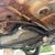 2007 Ford Focus 3 thumbnail