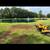 Stump Grinding 2 thumbnail