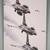 Blue Angels and USAF F-16C canvas 1 thumbnail