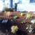 Do you need yard work, clean up or Leaf Removal 14 thumbnail