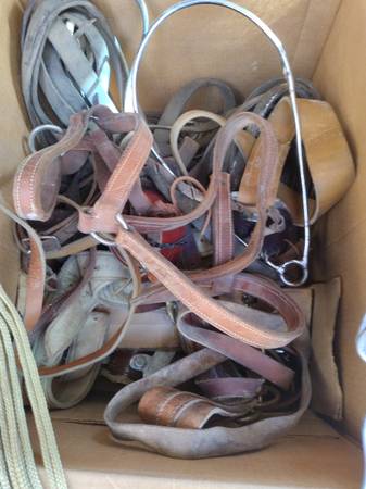 Grooming tools for Livestock 1