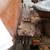 Allis Chalmers D19 7 thumbnail