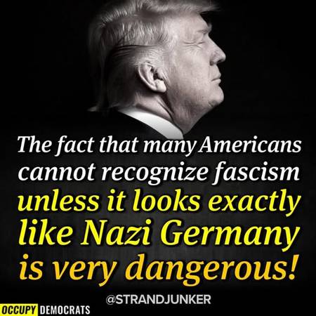 Many Americans Cannot Recognize Fascism 1