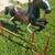 Children's Stationary Riding Horse 2 thumbnail