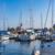 Don’t Miss This Rare Find in Jack London Square in Oakland 21 thumbnail