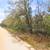 Kemp St Interlachen, FL — 0.44 acre 7 thumbnail