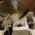 Mortising Machine Shop Fox 3/4 Hp Hvy Duty Benchtop W1671 775.00 Value 5 thumbnail