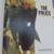 The Police by James Milton Hardcover Book, Publ. 1984, Sting cover 9 thumbnail