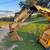 Mini skid steers and attchments 10 thumbnail