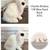 Holland Lop Babies 1 thumbnail