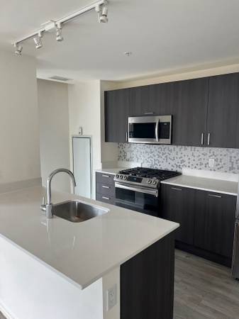 $3,000 / 2br - 1150ft2 - South Loop 2 bed with in unit washer/dryer, hw floors, ss appli (South Loop)63898984777986124