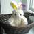 Baskets and Trays 4 thumbnail