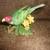 Lenox Plum Headed Parakeet 2 thumbnail