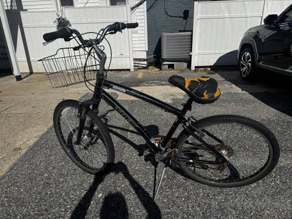 Bundle: 5 bikes, 1 e-scooter 1