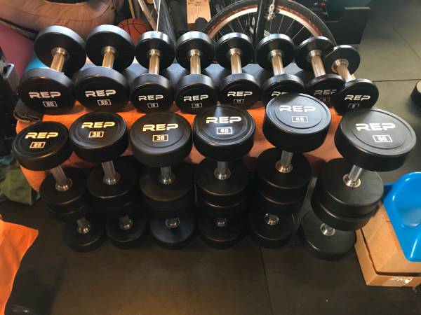 Dumbbell Set (like what they have at hotels/ commercial gym) 1