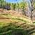 Unrestricted 6 Acres with Mountain Views #863 5 thumbnail