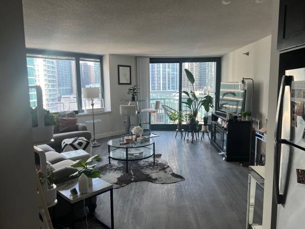 $2,593 / 1br - 860ft2 - Streeterville 1BR con balcón y vista al Navy Pier – Subarriendo de noviembre a mayo (Streeterville)63781351448449120