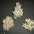 Dried Coral 1 thumbnail