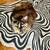 LOST TORTOISESHELL CAT 5 thumbnail
