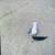 Hampton Beach, NH 19 thumbnail