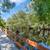 Furnished, Renovated High-End Suite w/ Pool, Hot Tub, Private Entrance 13 thumbnail