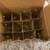 12 Candle Chandelier Bulbs 2 thumbnail