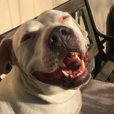 Free rent in exchange for general housekeeping and other small duties 1