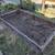 Free Redwood Raised Beds 2 thumbnail