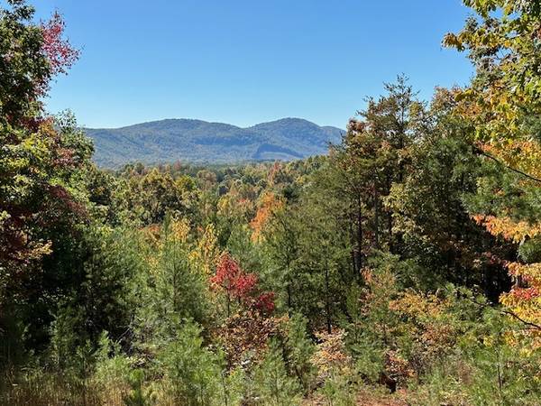 $19,900 BOSTIC - Building Lot - 3.7 Acres - Buy or Lease to Own (Owls Ridge Drive)63925205129474121