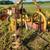 Farm star post hole digger 2 thumbnail