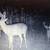 SMALL, PRIVATE, UNIQUE HUNTING CLUB looking for 1 new member 21 thumbnail
