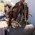 Herford saddle 15inch w/all accessories 1 thumbnail