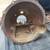 1958 and up V8 Studebaker 4speed bell housing. 4 thumbnail
